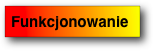 Funkcjonowanie