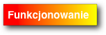 Funkcjonowanie