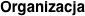 Organizacja